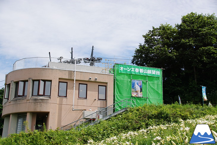 オーンズ春香山ゆり園 今年も綺麗な『ゆり』のシーズン到来♪
